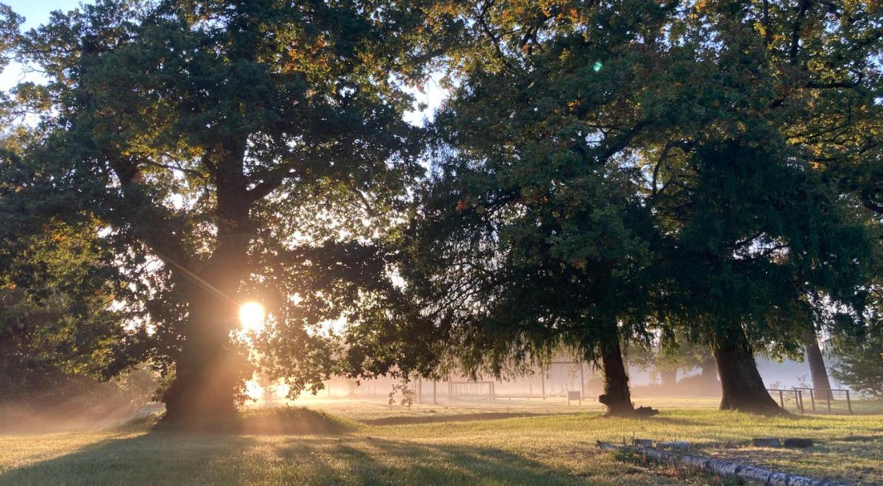 The Retreat New Forest, Hinton Christchurch  Eksteriør bilde